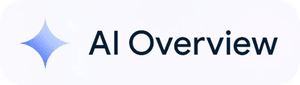 AI Overview